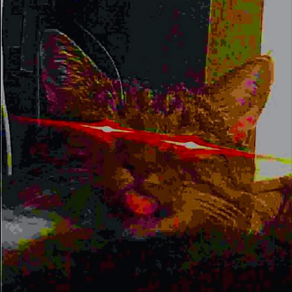 Meet your Posher, Impish